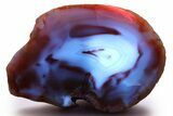 Colorful, Polished Patagonia Agate - Highly Fluorescent! #260761-2